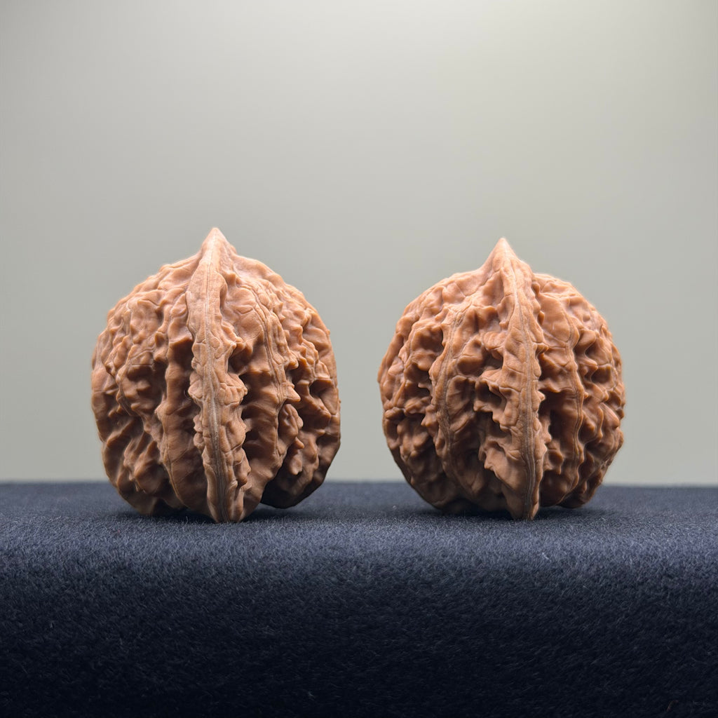 Coiled Dragon Tiger Head Wenwan Walnut · 38mm · Natural · Entry Ritual
