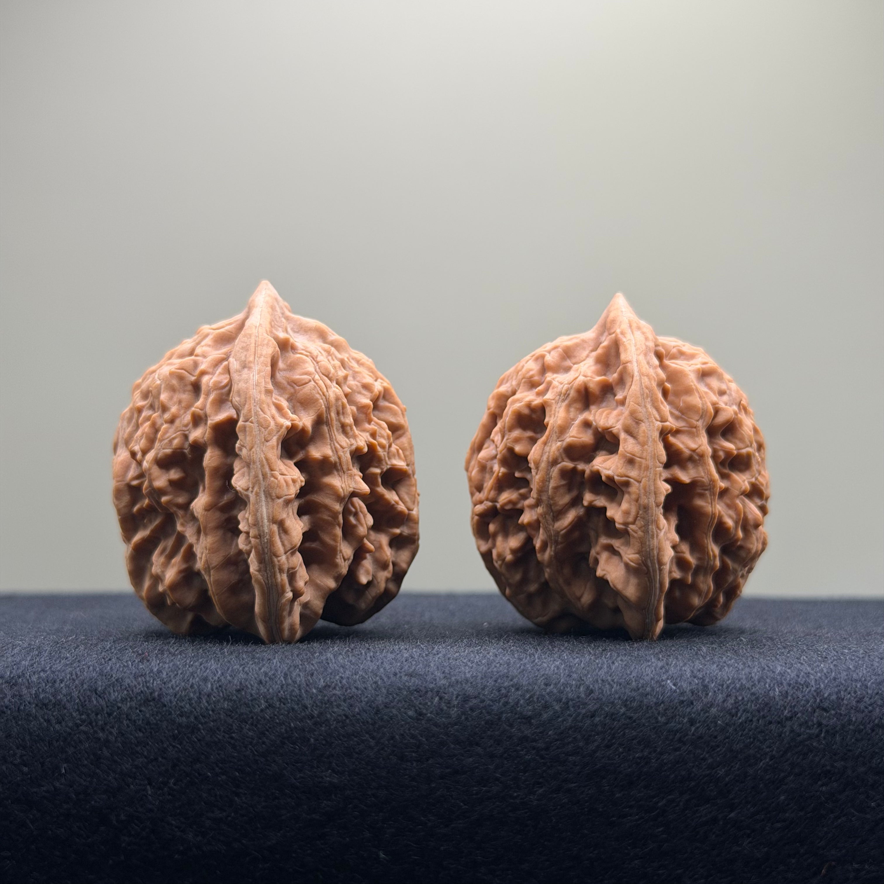 Coiled Dragon Tiger Head Wenwan Walnut · 38mm · Natural · Entry Ritual