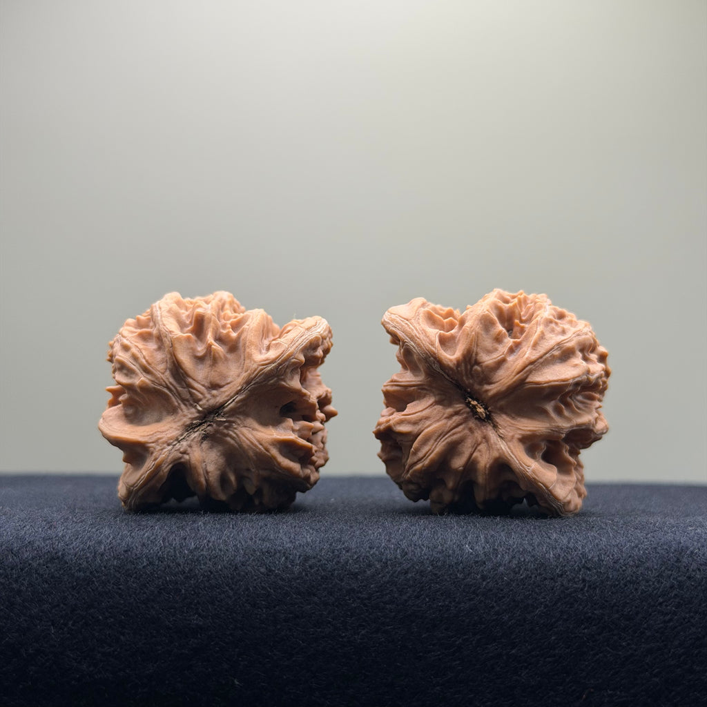 Coiled Dragon Tiger Head Wenwan Walnut · 38mm · Natural · Entry Ritual