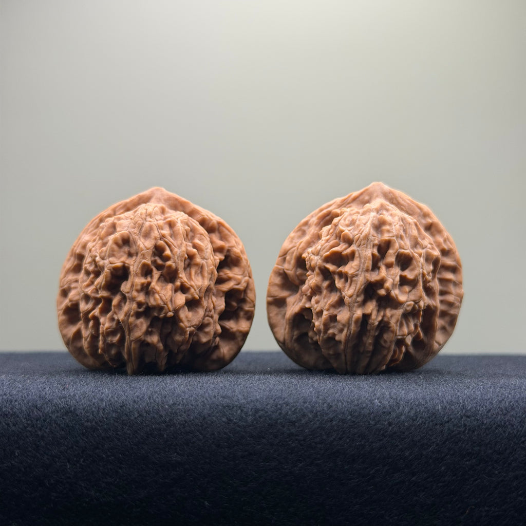 Coiled Dragon Tiger Head Wenwan Walnut · 40mm · Natural · Entry Ritual