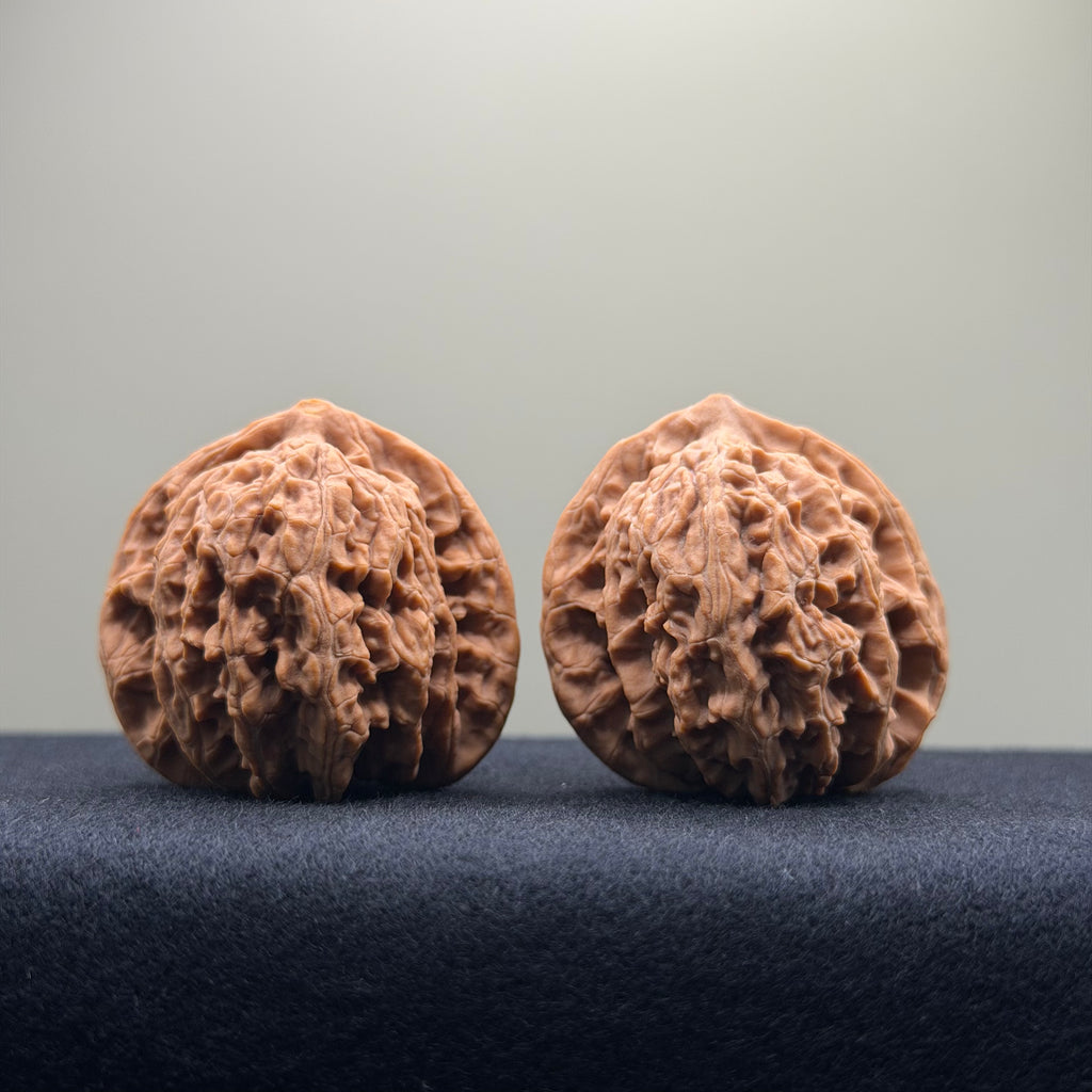 Coiled Dragon Tiger Head Wenwan Walnut · 40mm · Natural · Entry Ritual