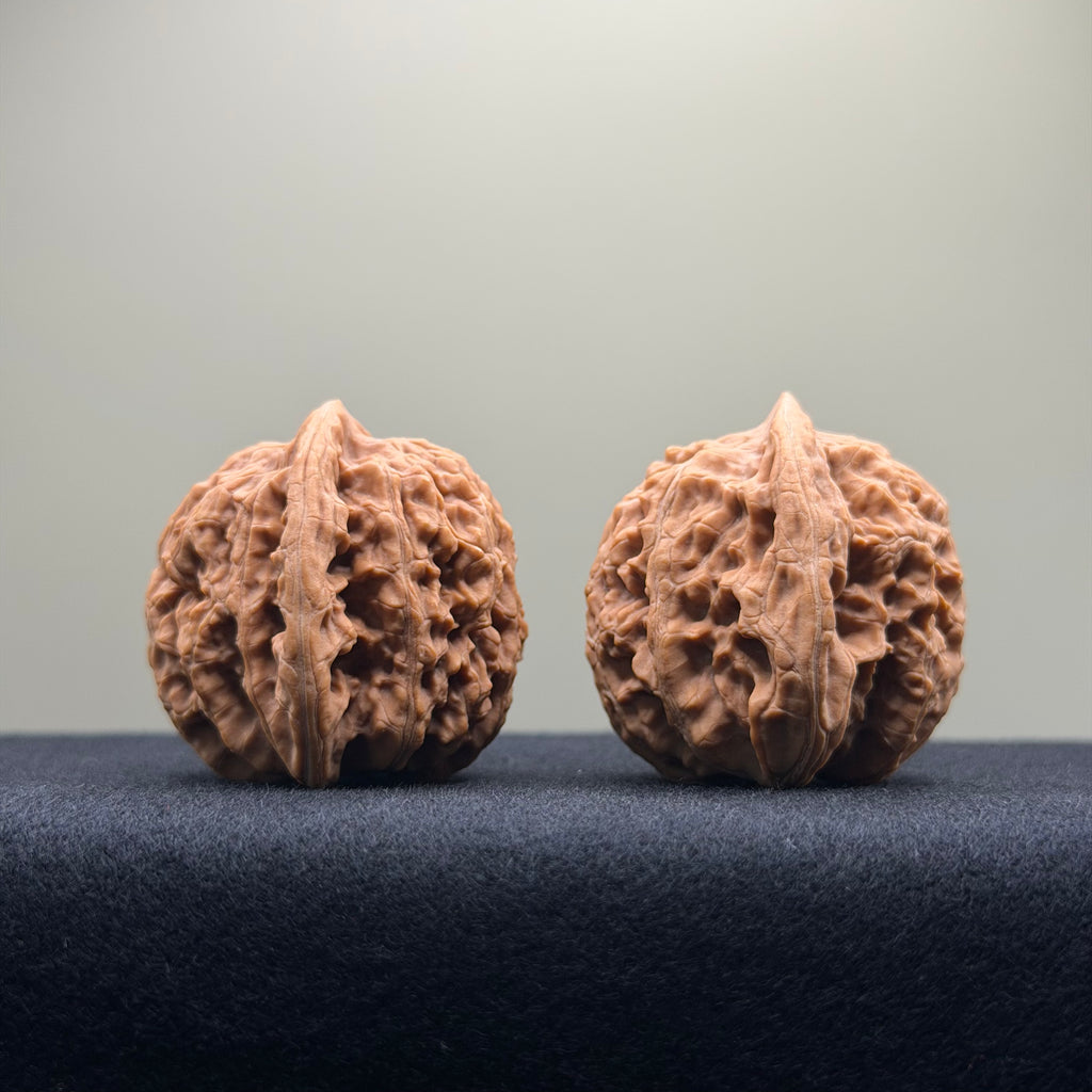Coiled Dragon Tiger Head Wenwan Walnut · 40mm · Natural · Entry Ritual