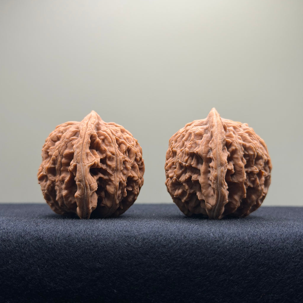 Coiled Dragon Tiger Head Wenwan Walnut · 40mm · Natural · Entry Ritual