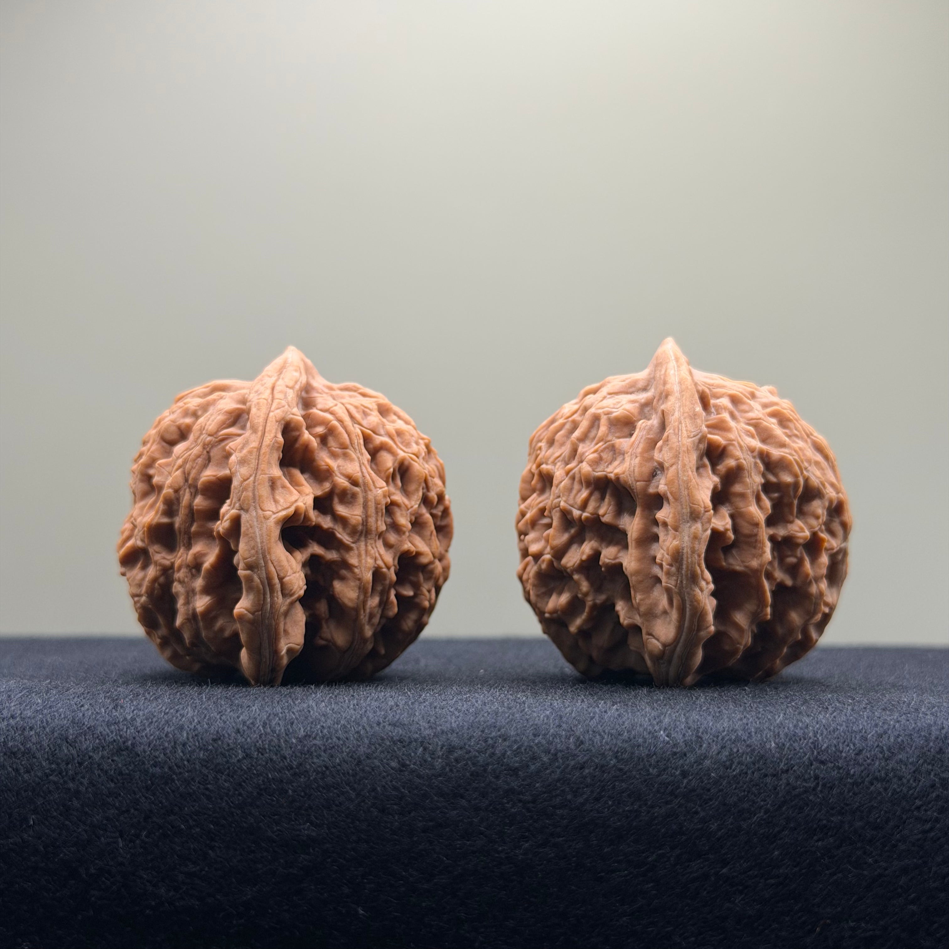 Coiled Dragon Tiger Head Wenwan Walnut · 40mm · Natural · Entry Ritual