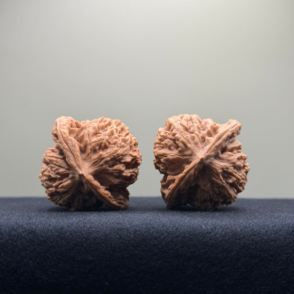 Coiled Dragon Tiger Head Wenwan Walnut · 40mm · Natural · Entry Ritual
