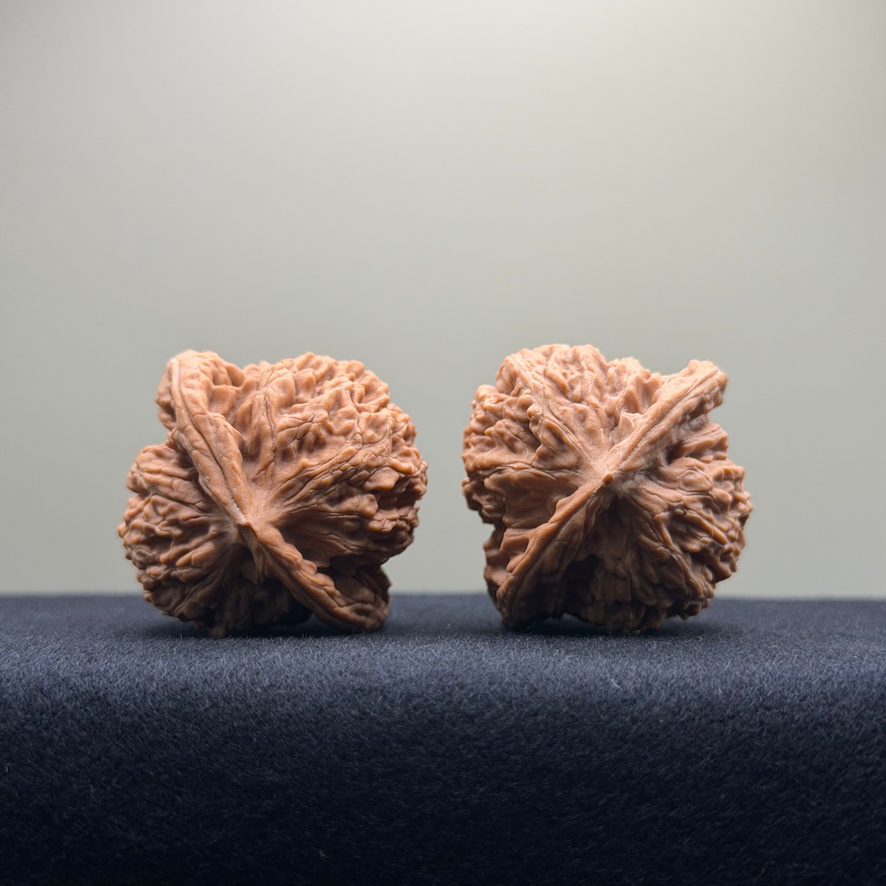 Coiled Dragon Tiger Head Wenwan Walnut · 40mm · Natural · Entry Ritual