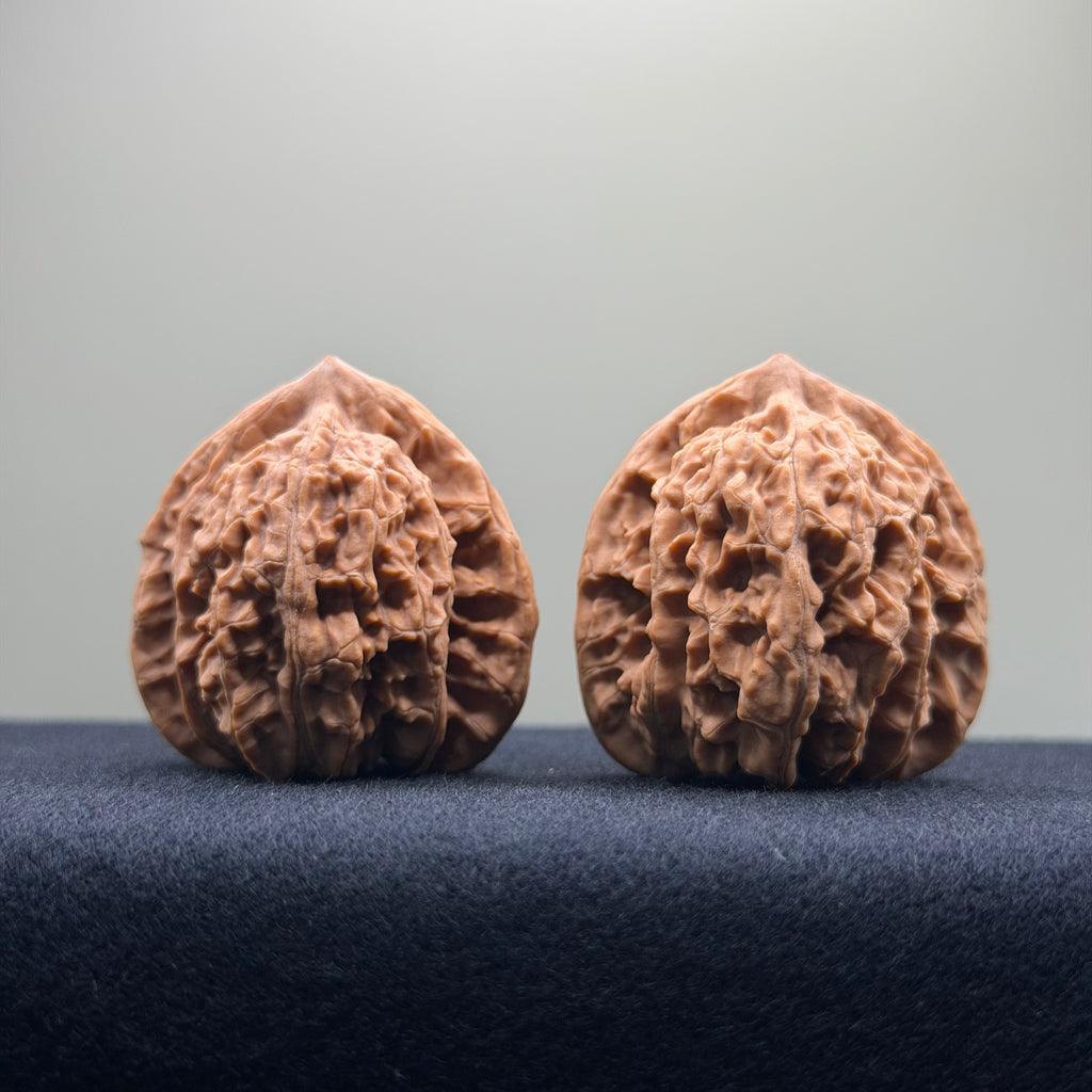 Coiled Dragon Tiger Head Wenwan Walnut · 38mm · Natural · Entry Ritual