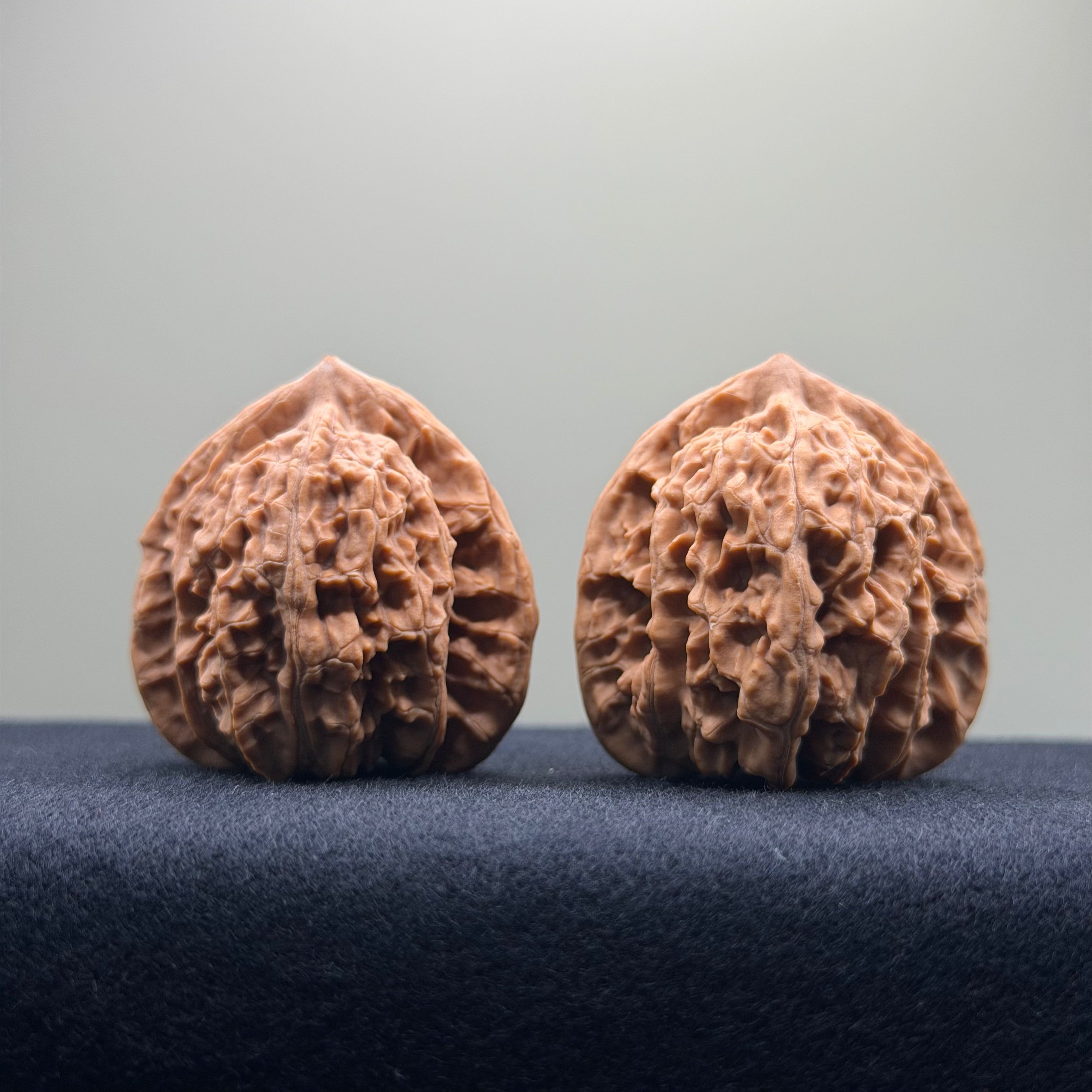 Coiled Dragon Tiger Head Wenwan Walnut · 38mm · Natural · Entry Ritual