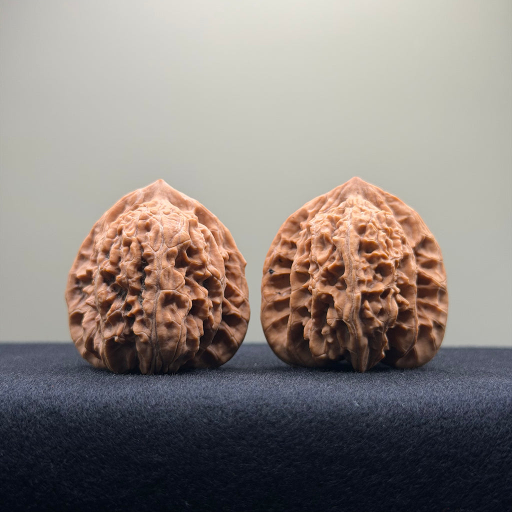 Coiled Dragon Tiger Head Wenwan Walnut · 38mm · Natural · Entry Ritual