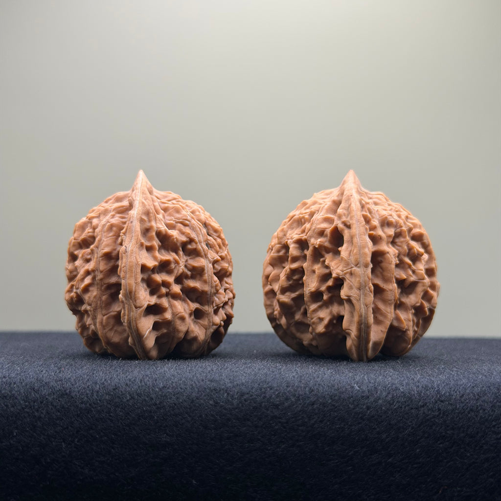 Coiled Dragon Tiger Head Wenwan Walnut · 38mm · Natural · Entry Ritual