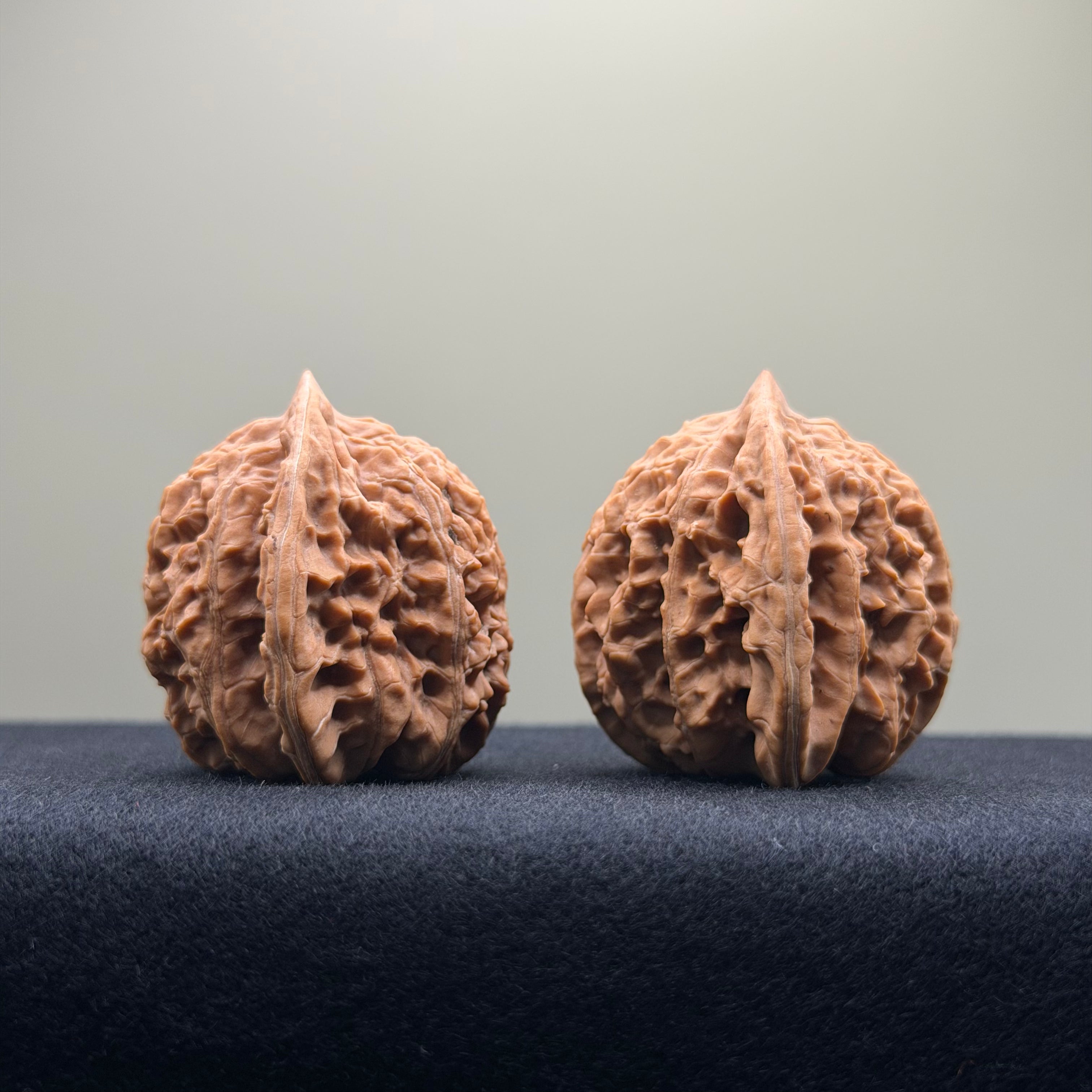 Coiled Dragon Tiger Head Wenwan Walnut · 38mm · Natural · Entry Ritual