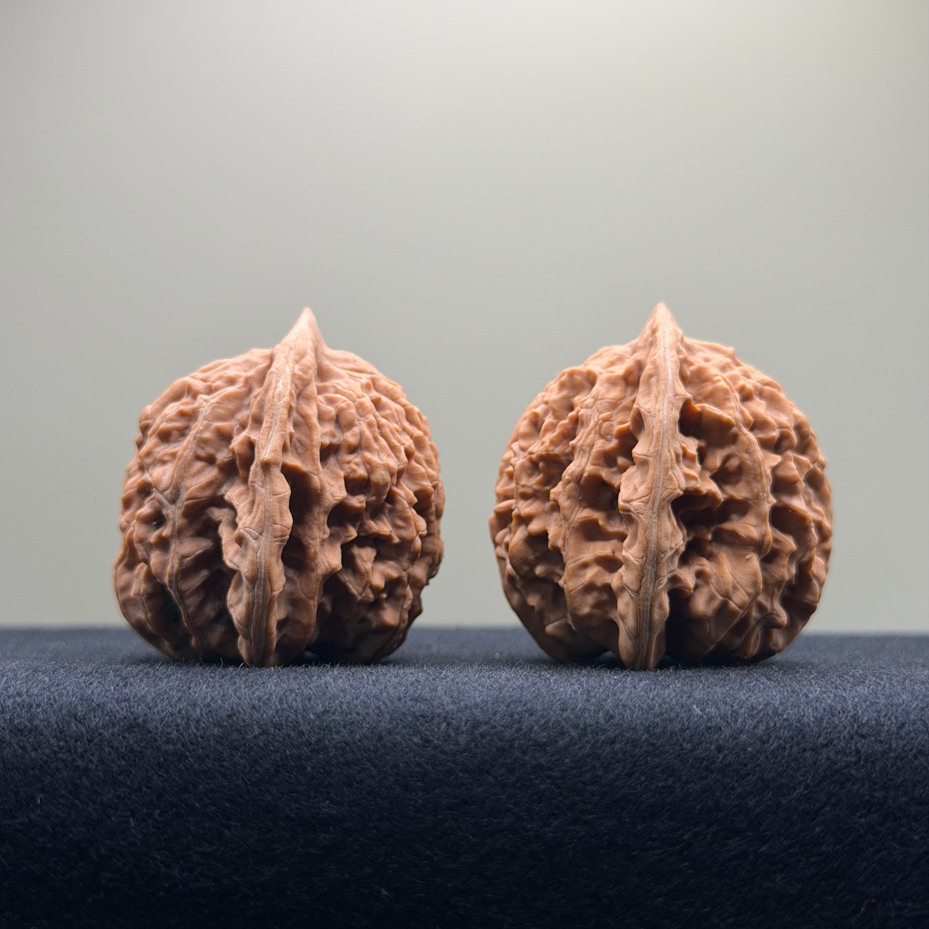 Coiled Dragon Tiger Head Wenwan Walnut · 38mm · Natural · Entry Ritual