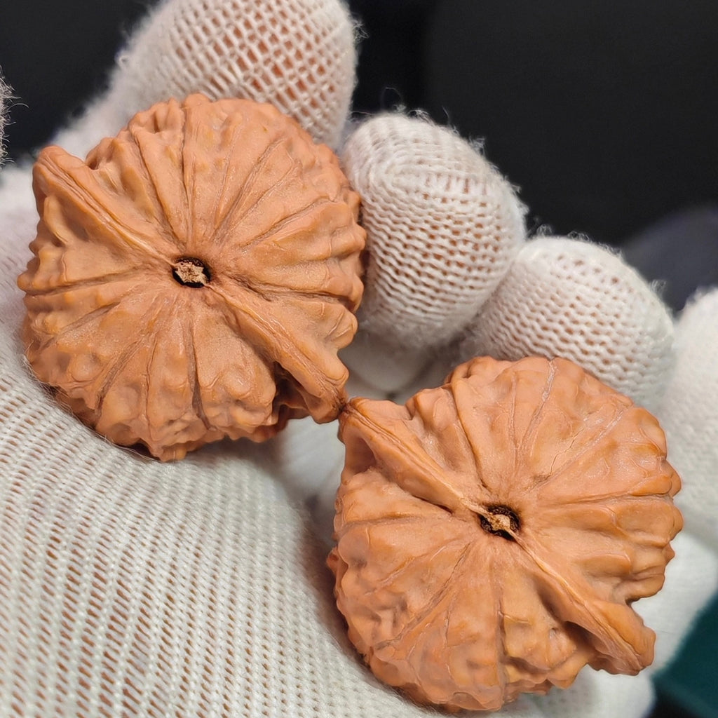 Shimen Ingot Wenwan Walnut · 36mm · Natural · Sourcing Pick