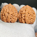 Buddha Belly Wenwan Walnut · 39mm · Natural · Sourcing Pick