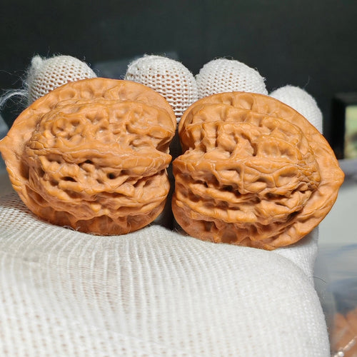 Buddha Belly Wenwan Walnut · 39mm · Natural · Sourcing Pick