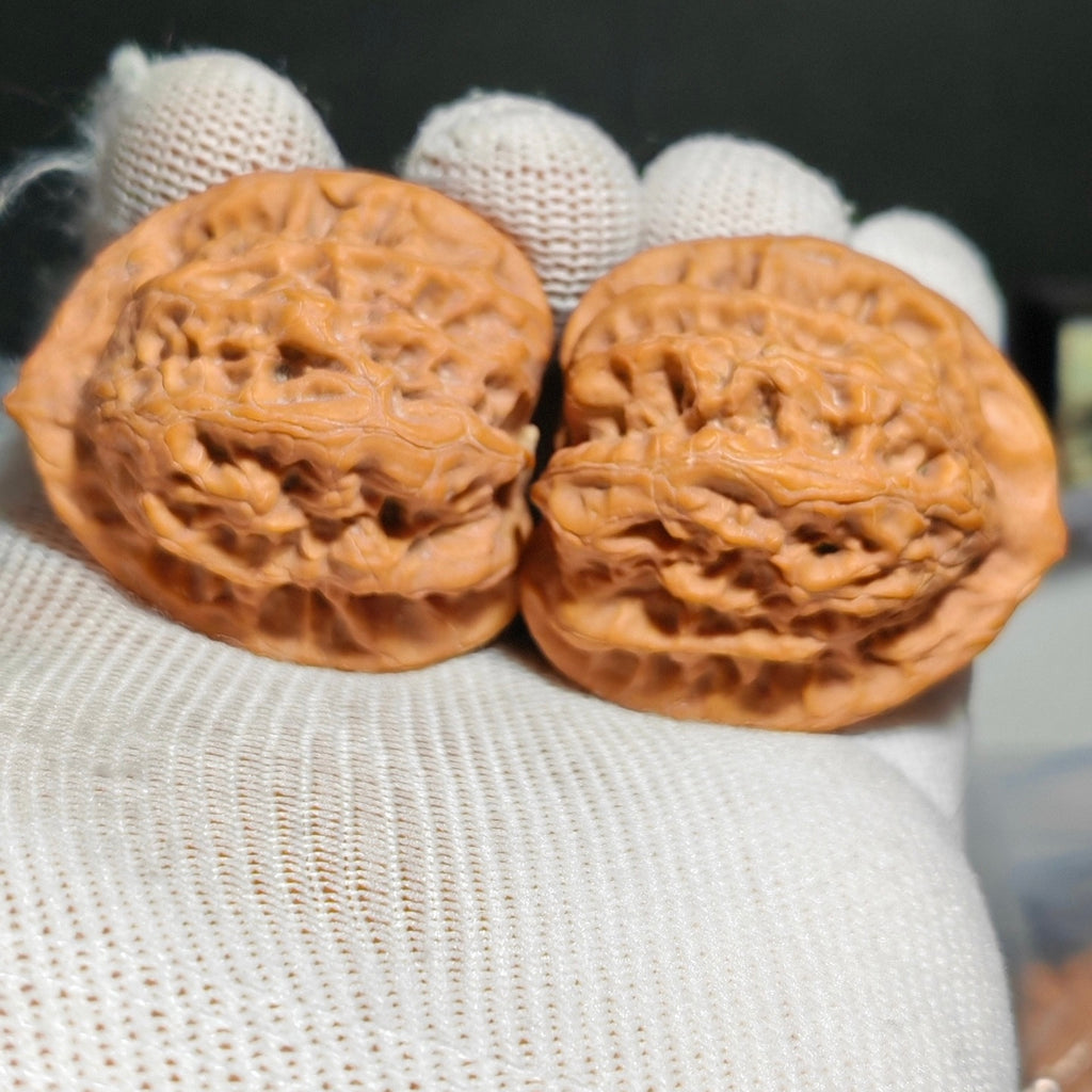 Buddha Belly Wenwan Walnut · 39mm · Natural · Sourcing Pick