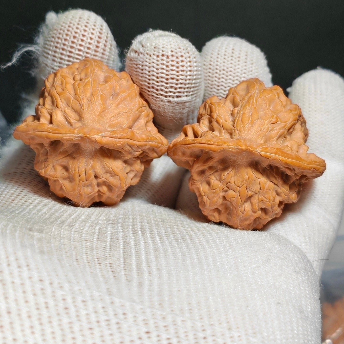 Buddha Belly Wenwan Walnut · 39mm · Natural · Sourcing Pick