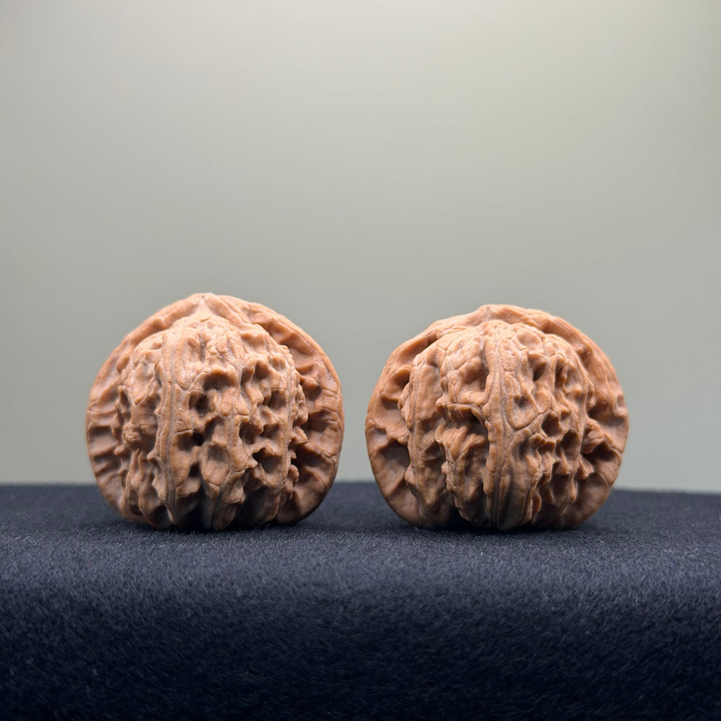 White Lion Wenwan Walnut · 36mm · Natural · Entry Ritual