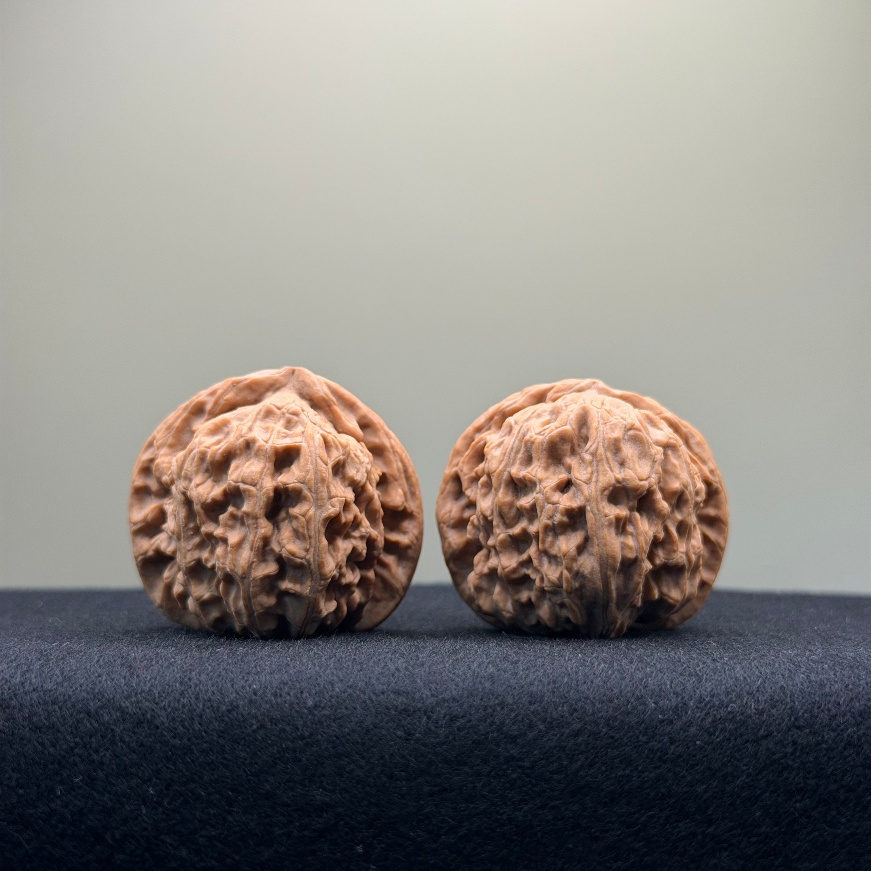 White Lion Wenwan Walnut · 36mm · Natural · Entry Ritual