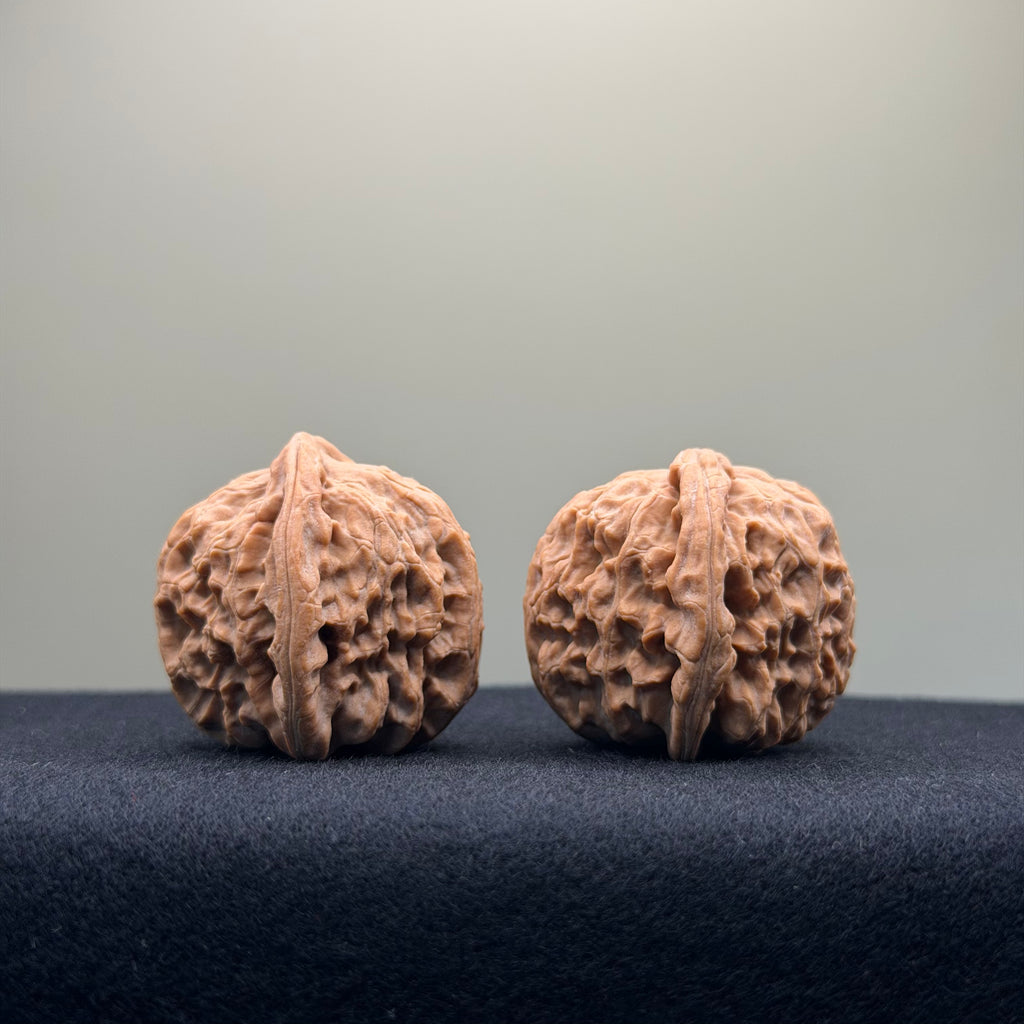 White Lion Wenwan Walnut · 36mm · Natural · Entry Ritual