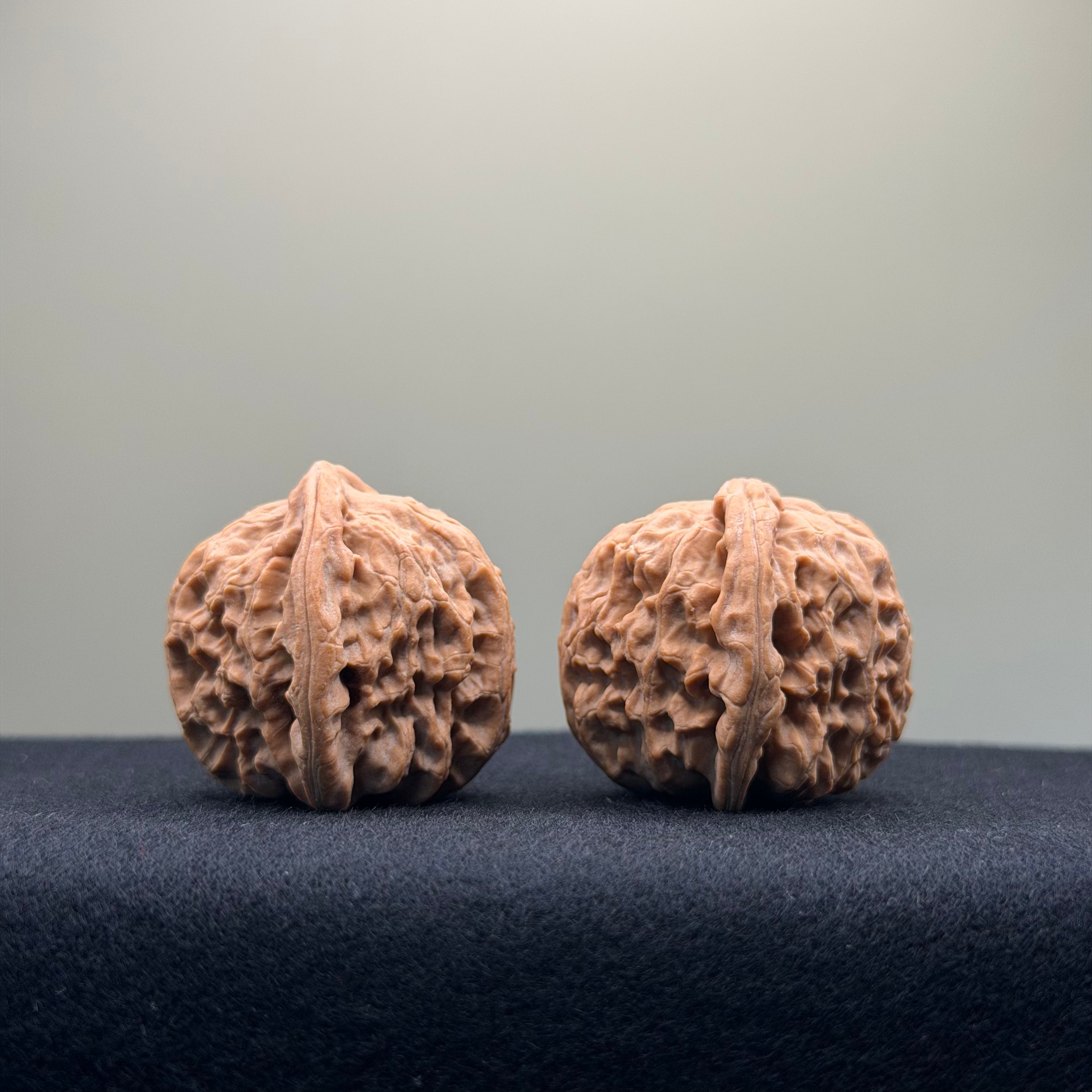 White Lion Wenwan Walnut · 36mm · Natural · Entry Ritual