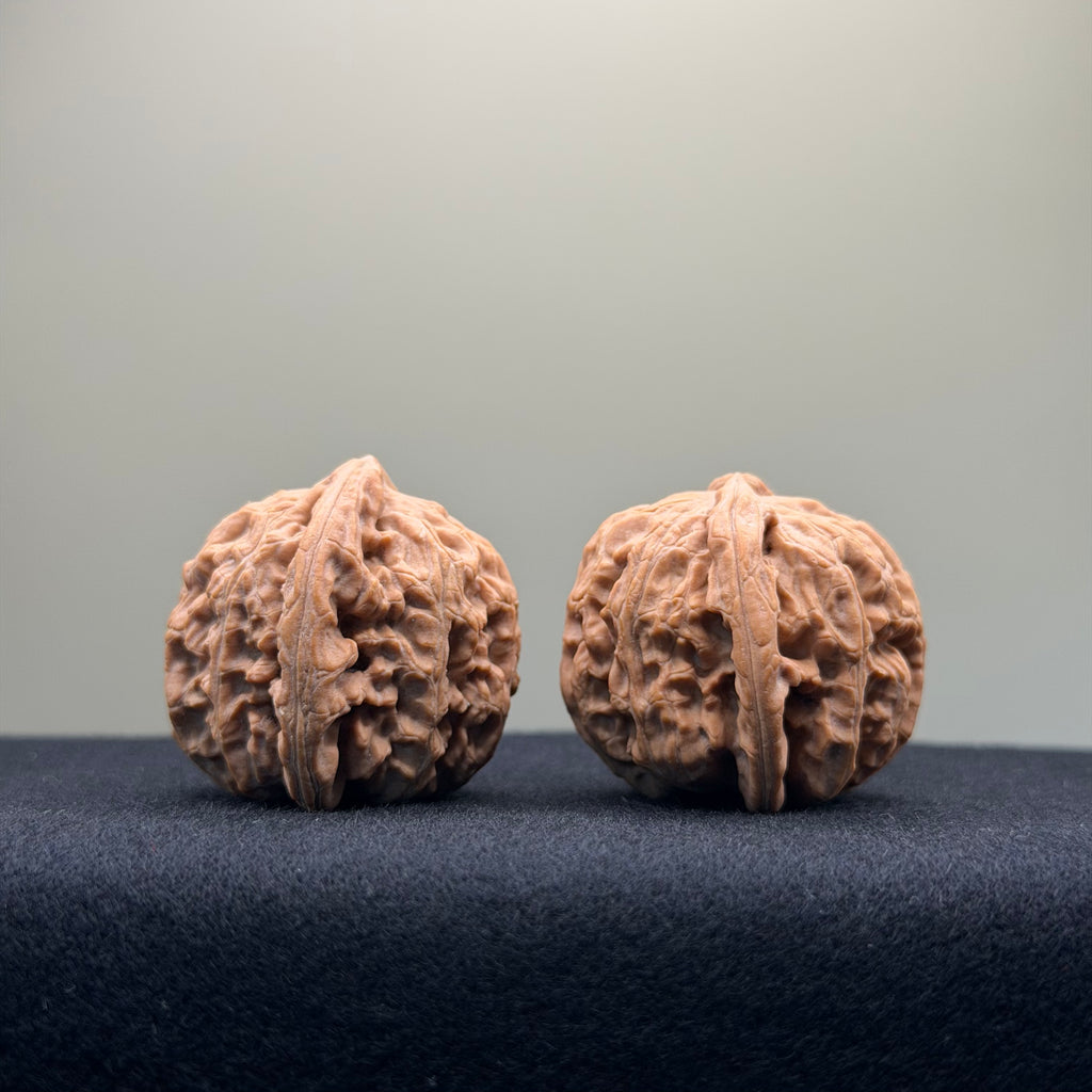 White Lion Wenwan Walnut · 36mm · Natural · Entry Ritual