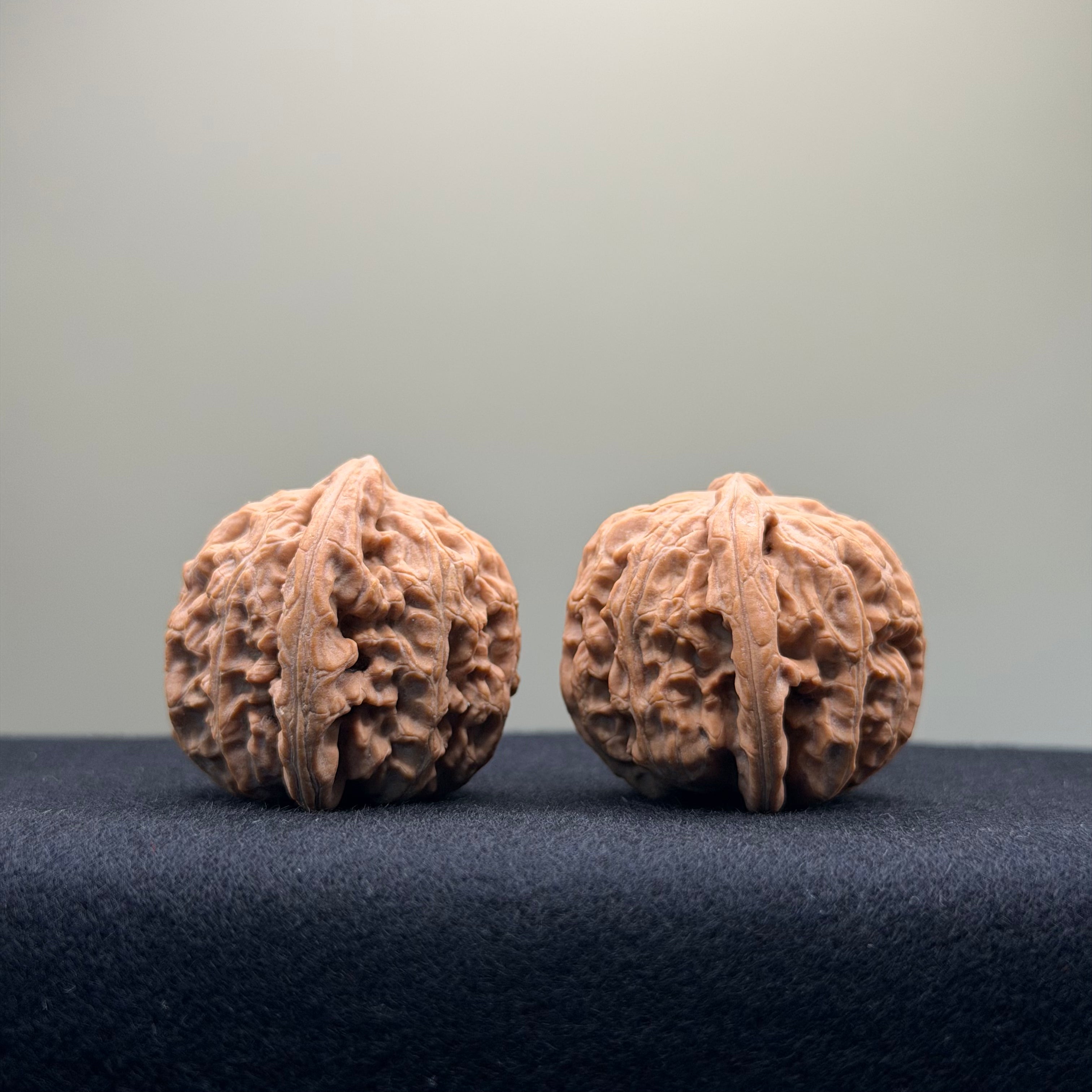 White Lion Wenwan Walnut · 36mm · Natural · Entry Ritual