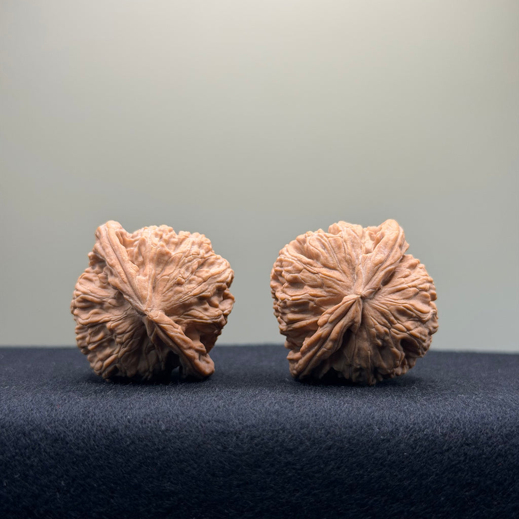 White Lion Wenwan Walnut · 36mm · Natural · Entry Ritual