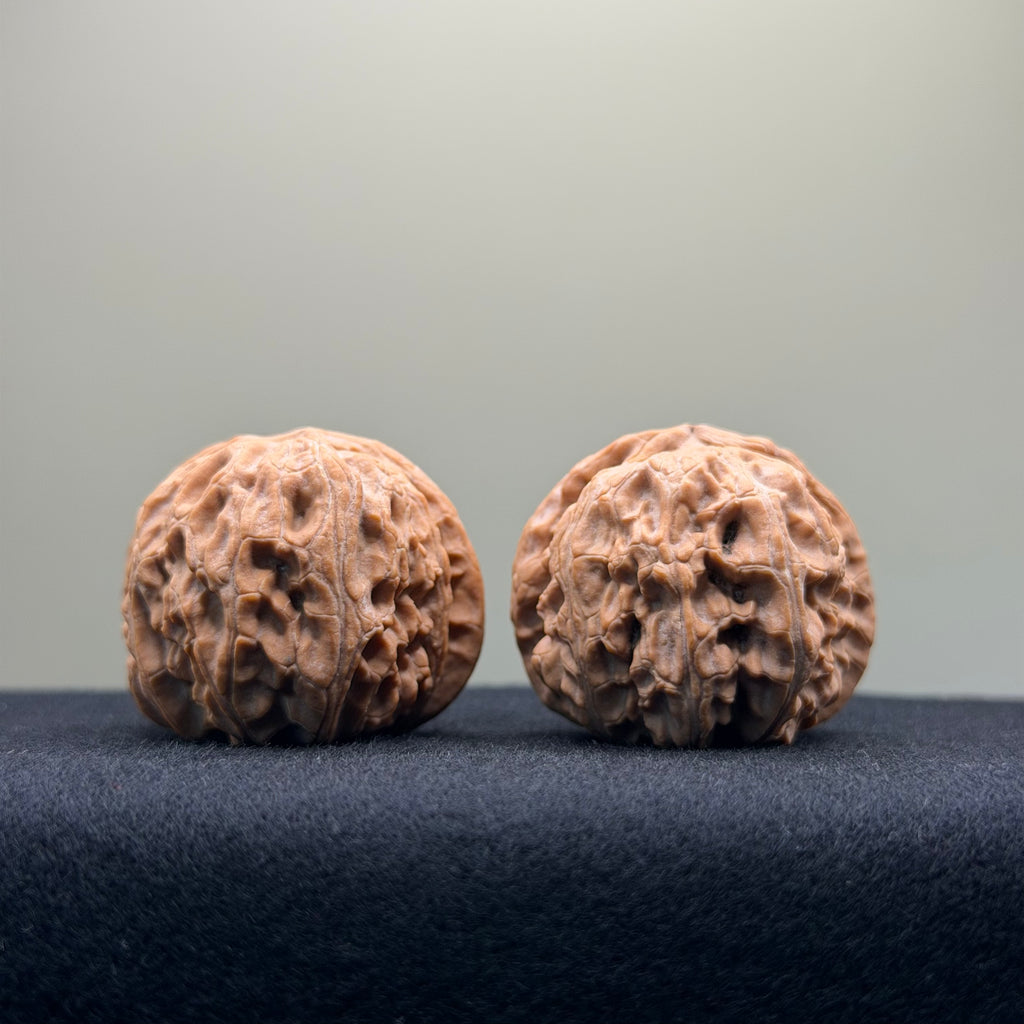 White Lion Wenwan Walnut · 36mm · Natural · Entry Ritual