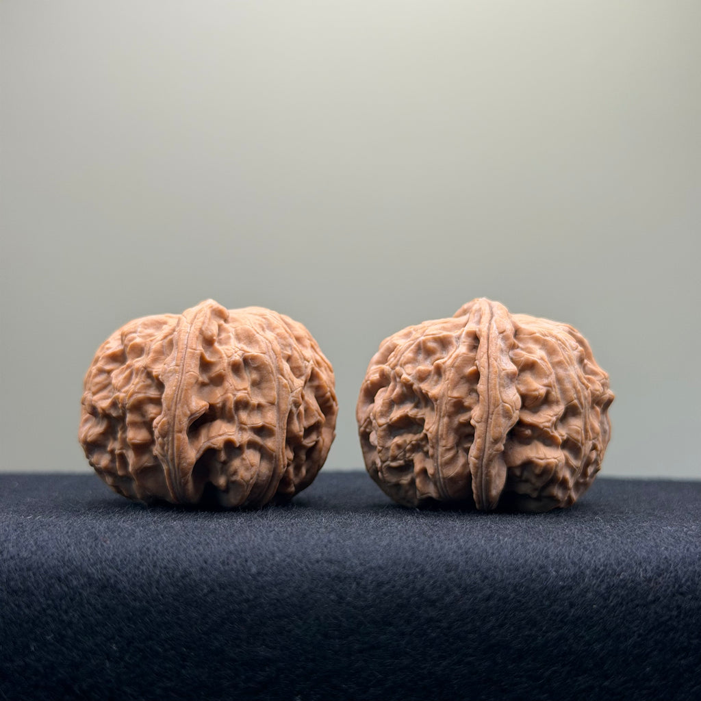 White Lion Wenwan Walnut · 36mm · Natural · Entry Ritual