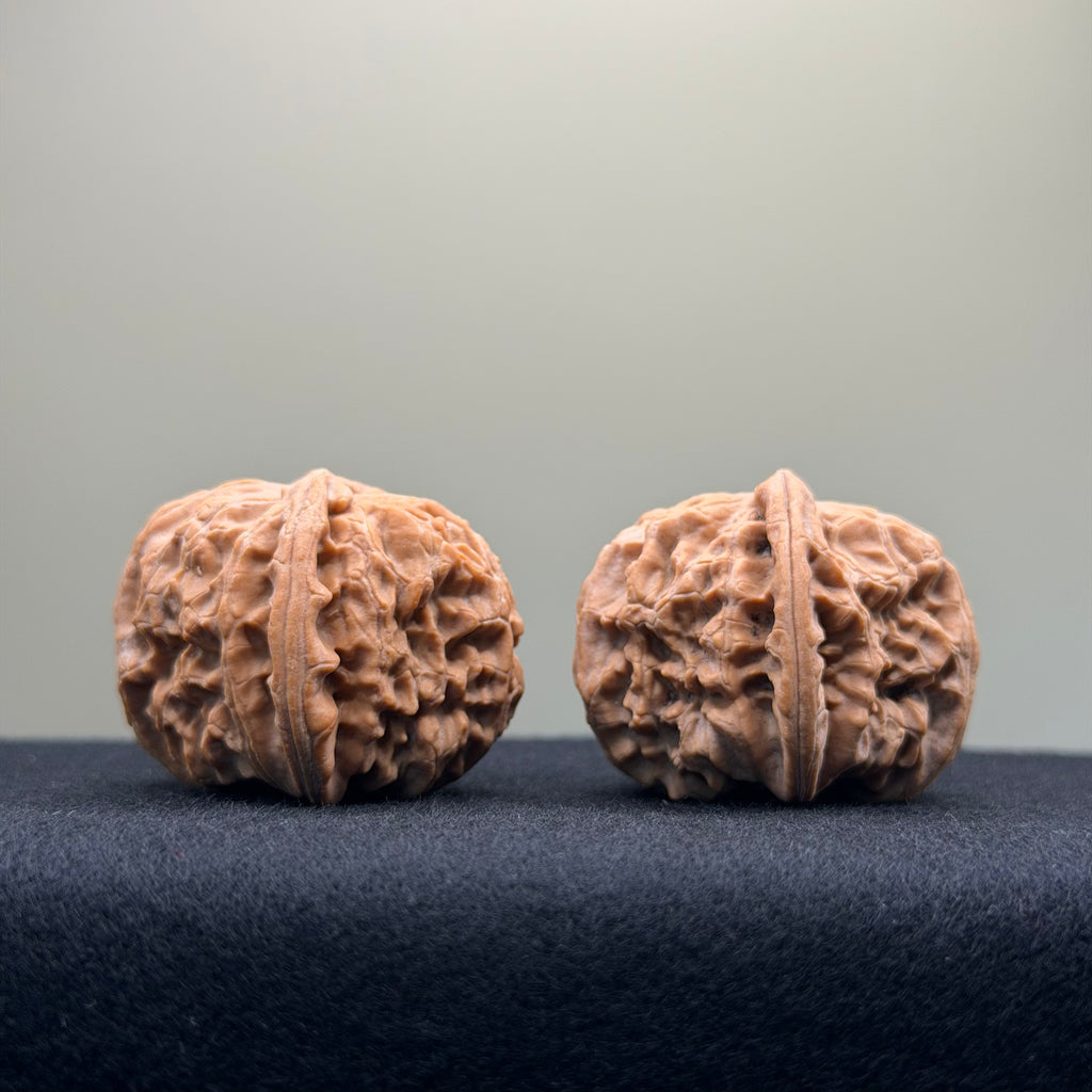 White Lion Wenwan Walnut · 36mm · Natural · Entry Ritual