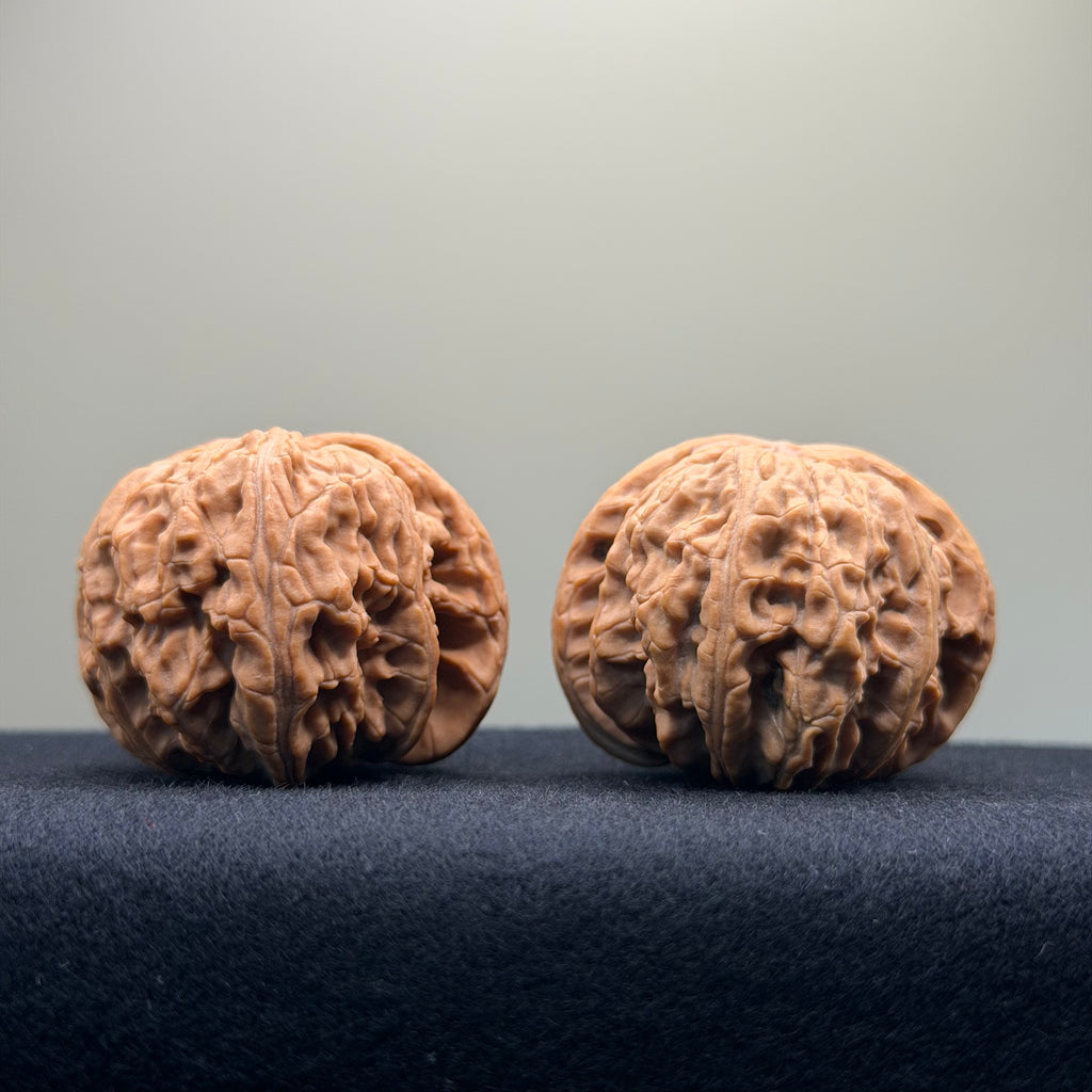 White Lion Wenwan Walnut · 43mm · Entry Ritual