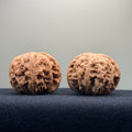 White Lion Wenwan Walnut · 43mm · Entry Ritual