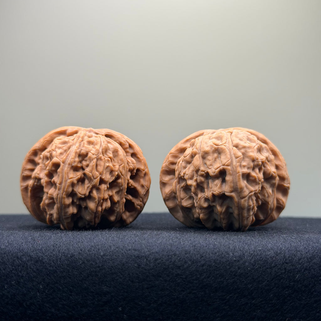 White Lion Wenwan Walnut · 43mm · Entry Ritual