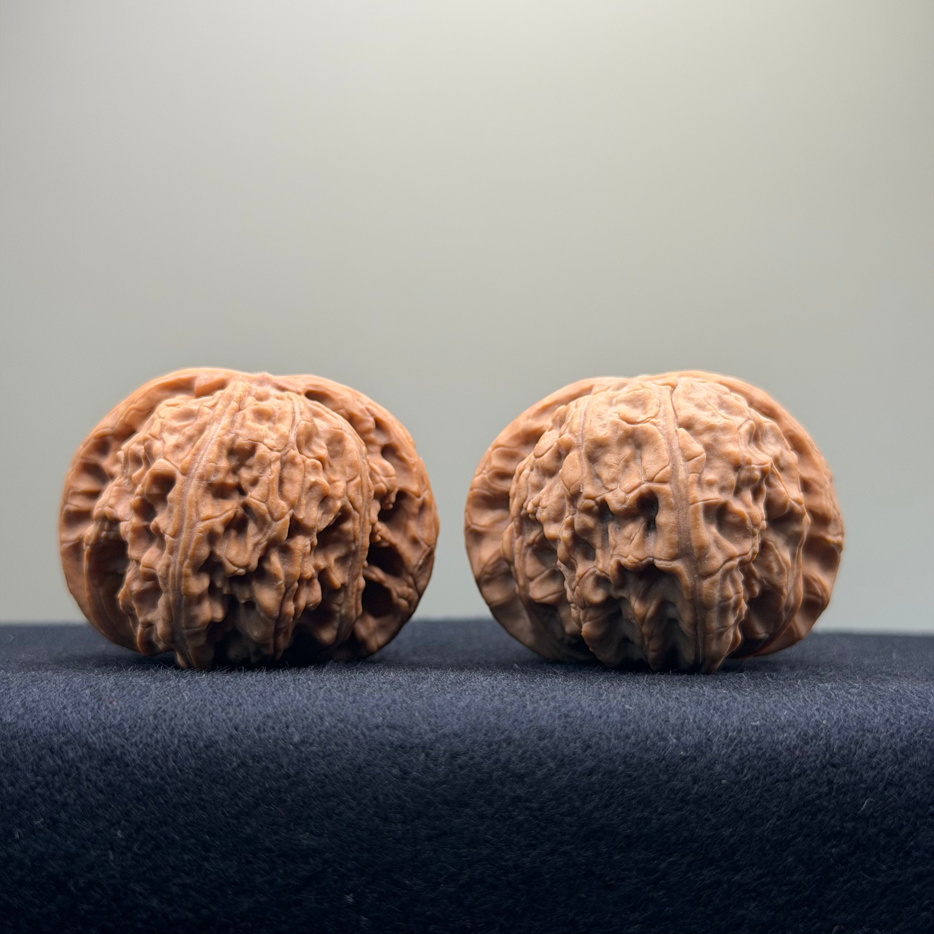 White Lion Wenwan Walnut · 43mm · Entry Ritual