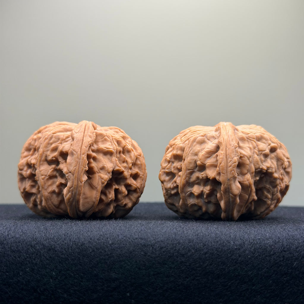 White Lion Wenwan Walnut · 43mm · Entry Ritual