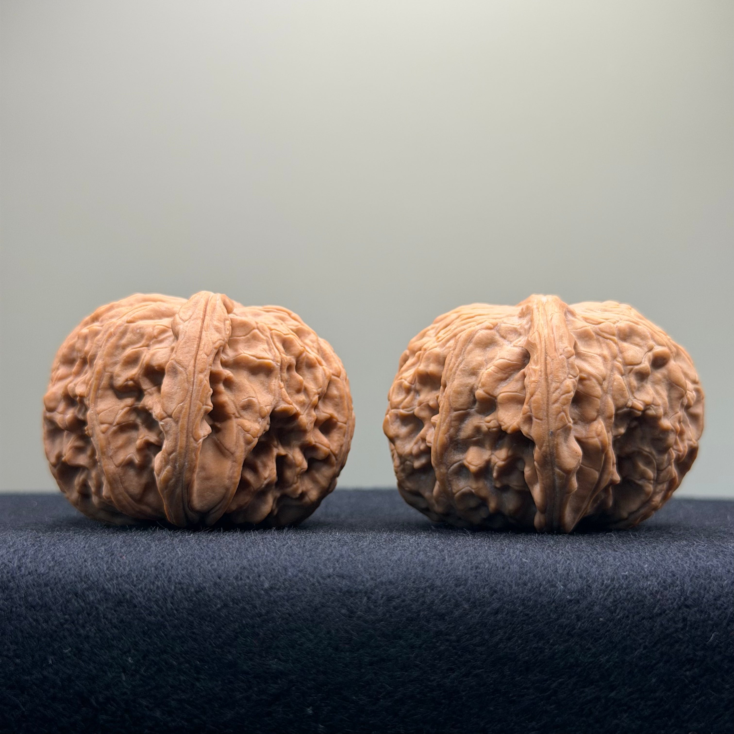 White Lion Wenwan Walnut · 43mm · Entry Ritual