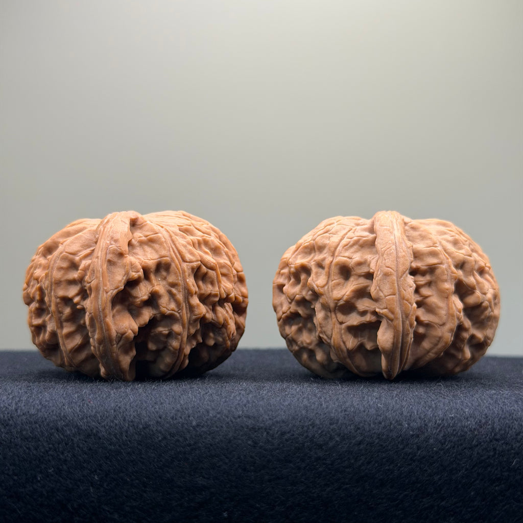 White Lion Wenwan Walnut · 43mm · Entry Ritual