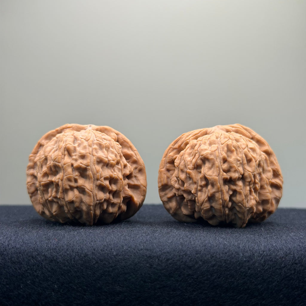 White Lion Wenwan Walnut · 42mm · Natural · Entry Ritual