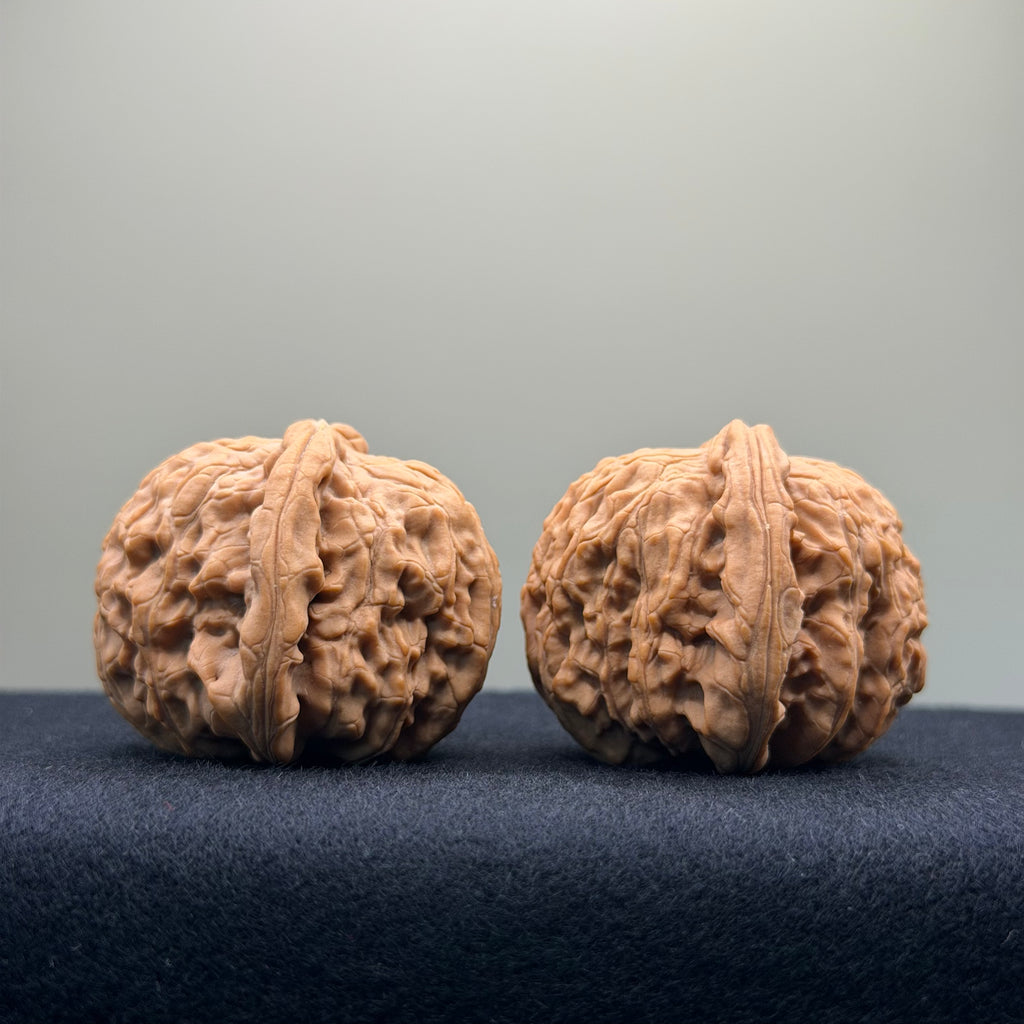 White Lion Wenwan Walnut · 42mm · Natural · Entry Ritual