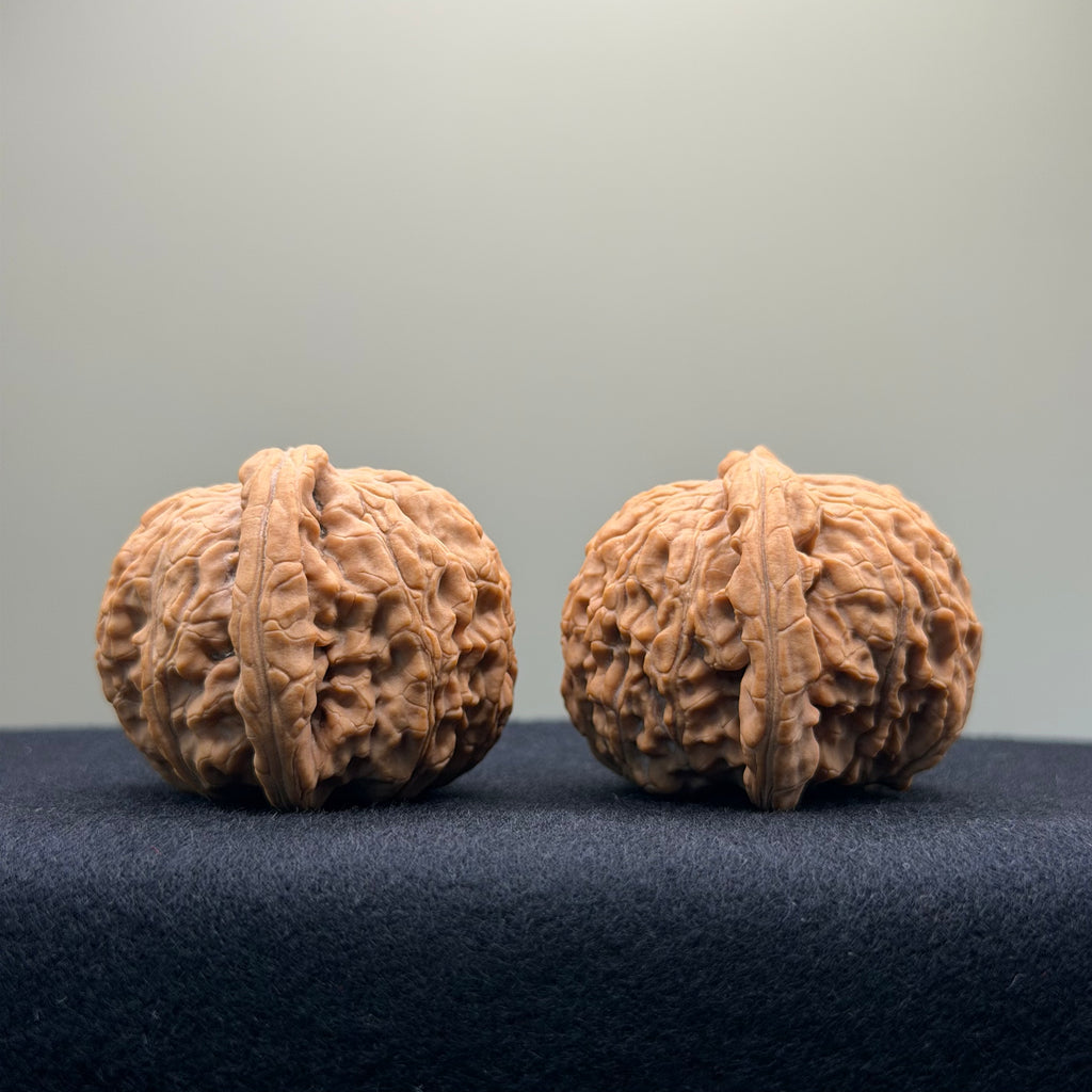 White Lion Wenwan Walnut · 42mm · Natural · Entry Ritual