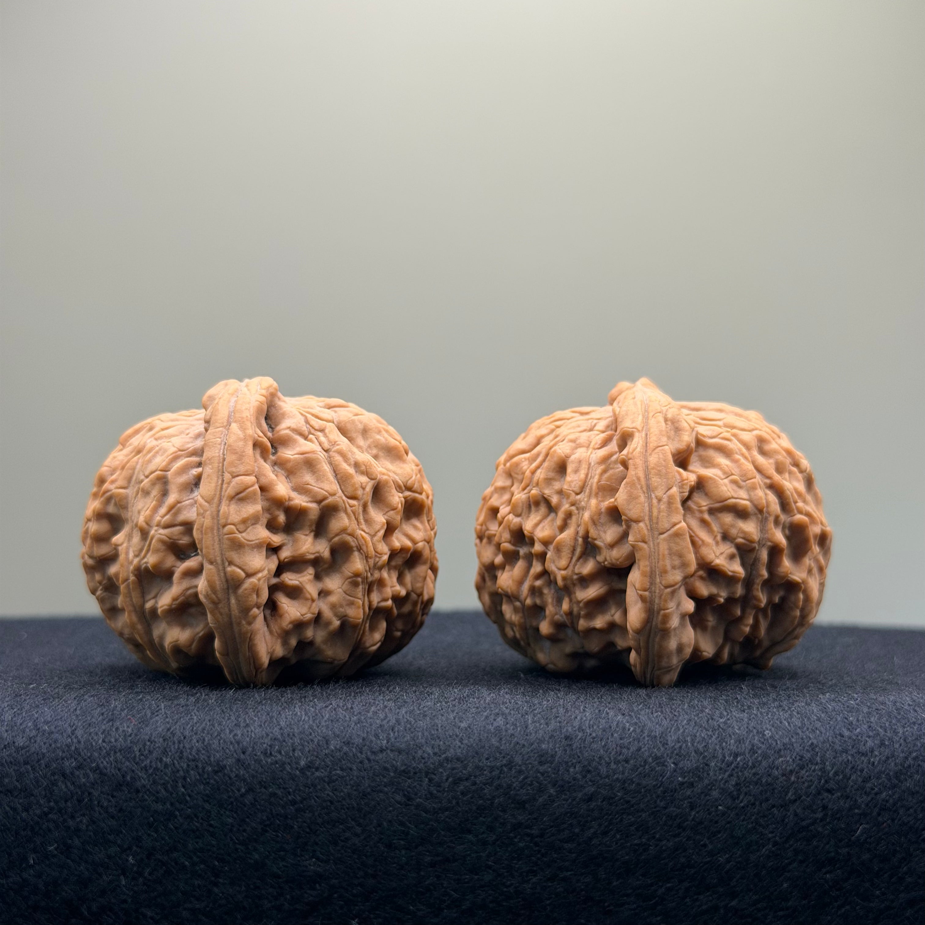 White Lion Wenwan Walnut · 42mm · Natural · Entry Ritual