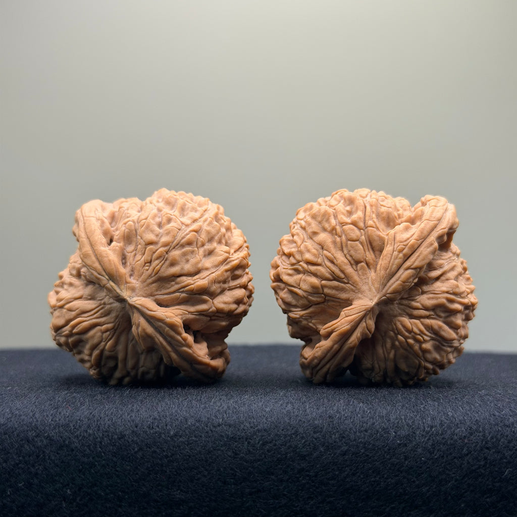 White Lion Wenwan Walnut · 42mm · Natural · Entry Ritual