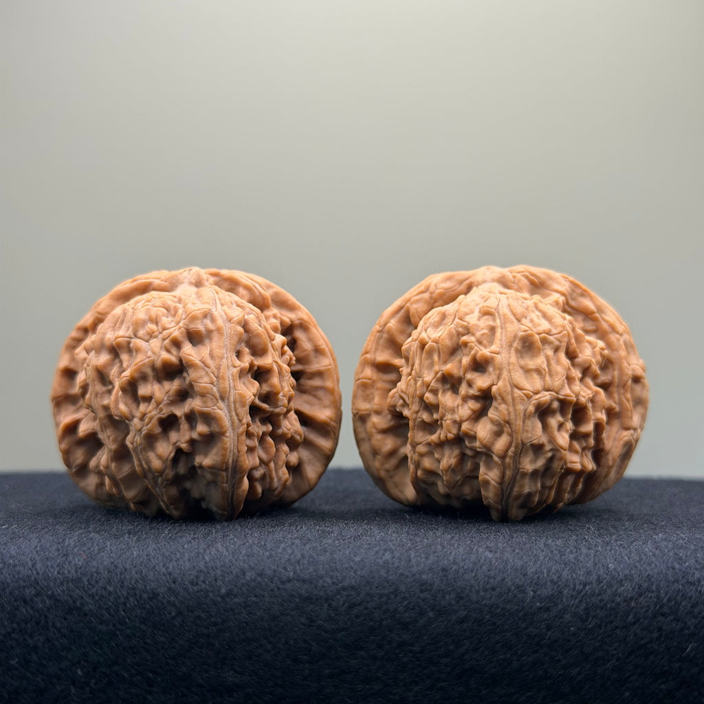 White Lion Wenwan Walnut · 40mm · Natural · Entry Ritual