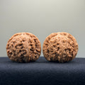White Lion Wenwan Walnut · 40mm · Natural · Entry Ritual