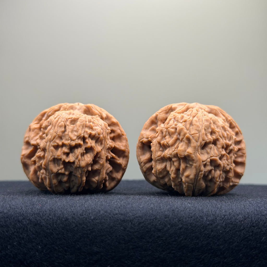 White Lion Wenwan Walnut · 40mm · Natural · Entry Ritual