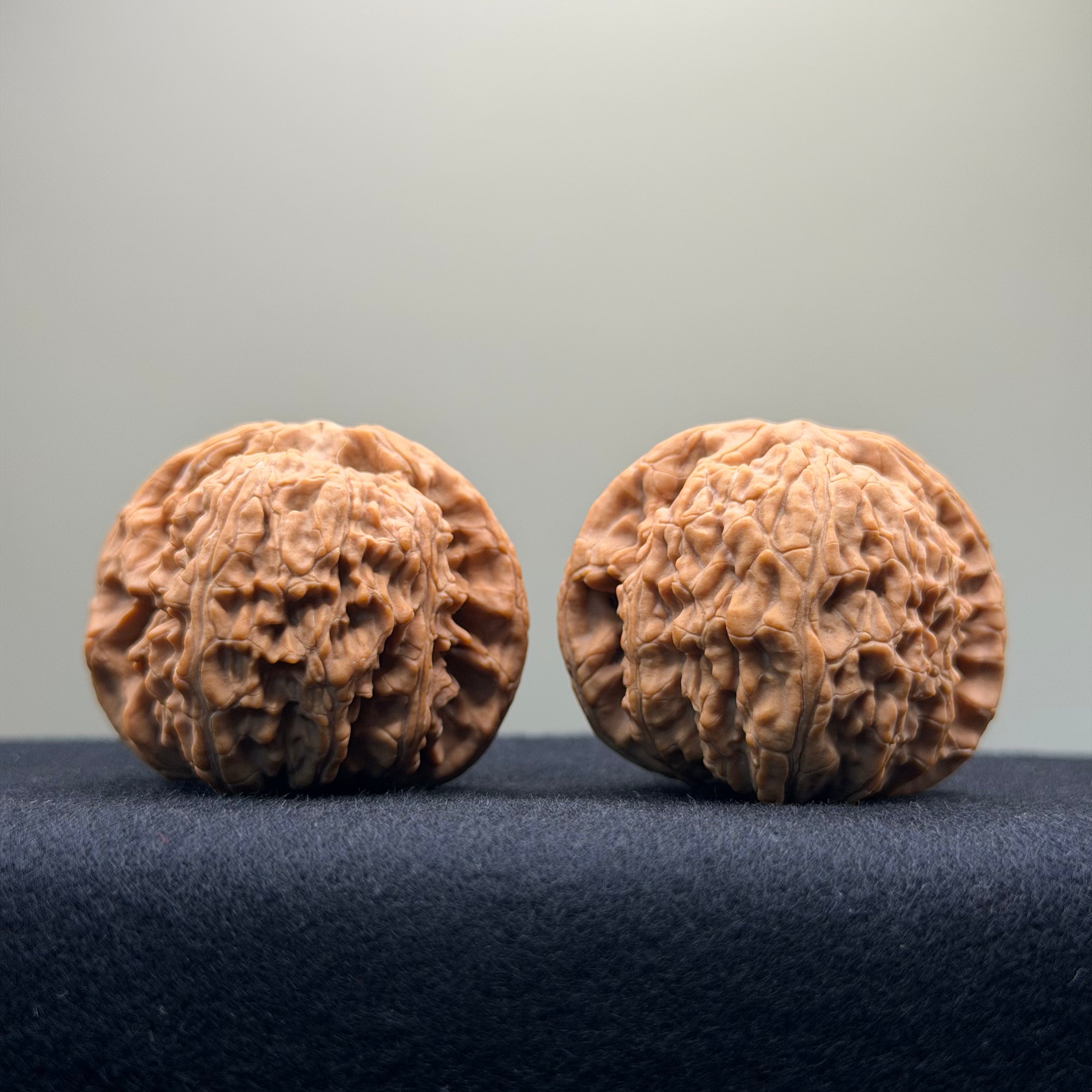 White Lion Wenwan Walnut · 40mm · Natural · Entry Ritual