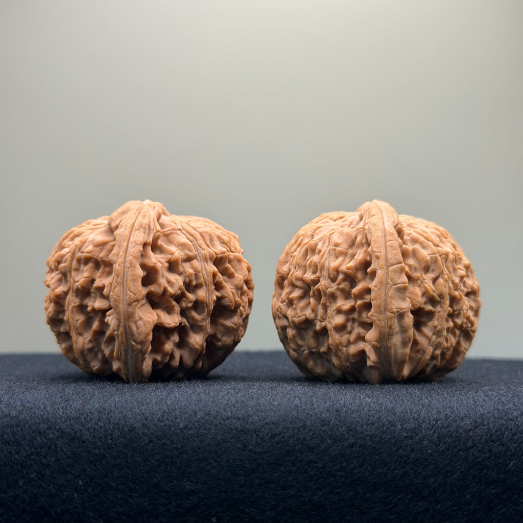 White Lion Wenwan Walnut · 40mm · Natural · Entry Ritual