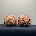 White Lion Wenwan Walnut · 38mm · Natural · Entry Ritual