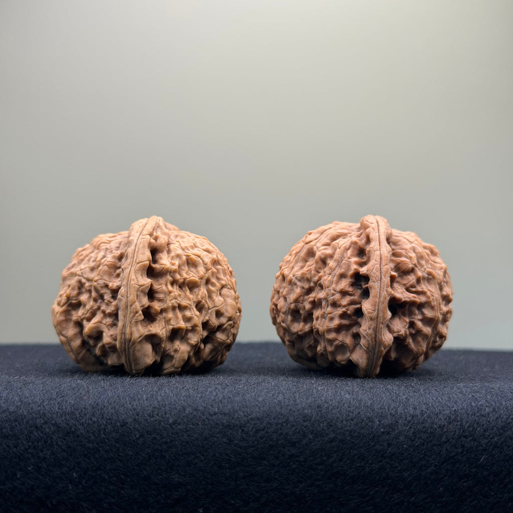 White Lion Wenwan Walnut · 38mm · Natural · Entry Ritual